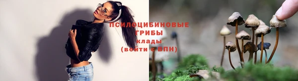 спиды Новодвинск