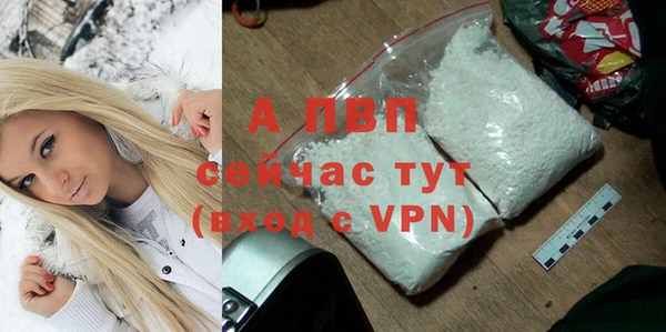 спиды Новодвинск