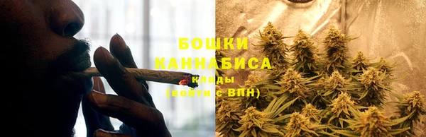 молекула духа Нея